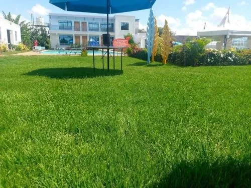 The lawn and pool in front of the main building