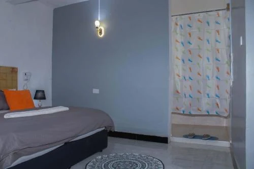 Room with a bed and an en-suite shower